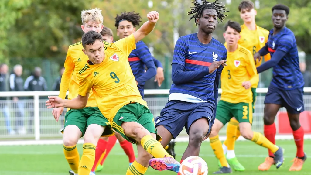 Gabriele Biancheri loan move to Cardiff City